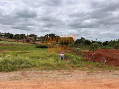 Terreno para Venda, em Fnix, bairro Centro