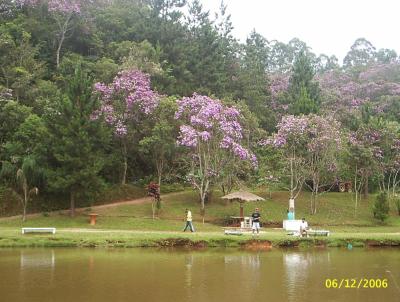 Pesqueiro para Venda, em Itapecerica da Serra, bairro Potuver