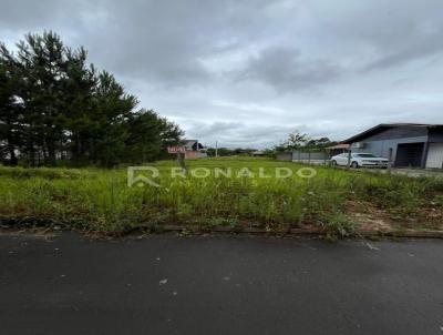 Terreno para Venda, em Sapiranga, bairro So Jac