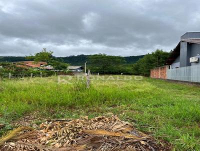 Terreno para Venda, em Sapiranga, bairro So Jac, 1 dormitrio