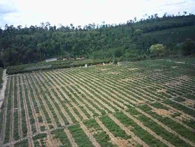 rea Rural para Venda, em Boa Esperana, bairro Zona Rural