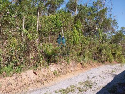 Terreno para Venda, em Ribeiro Pires, bairro Jardim Planteucal