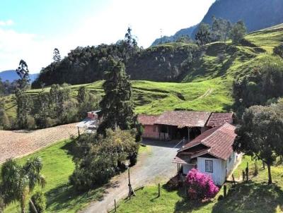 Stio para Venda, em Agrolndia, bairro Serra dos Alves, 4 dormitrios, 1 banheiro, 2 vagas