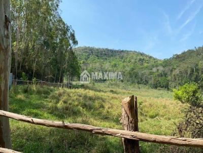 Fazenda para Venda, em Argirita, bairro guas Santas