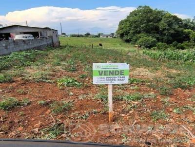 Terreno para Venda, em Trs Passos, bairro BAIRRO WEBER