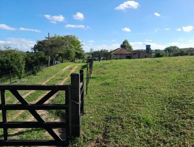 rea para Venda, em Sentinela do Sul, bairro Bela Vista, 3 dormitrios, 1 banheiro, 1 vaga