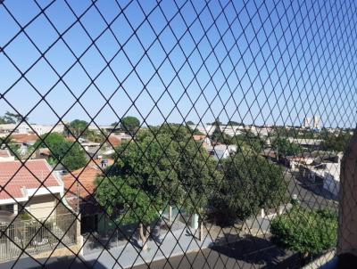imagem-miniatura