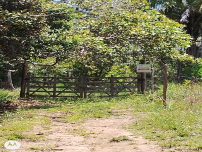 Terreno para Venda, em Itacar, bairro Matinha