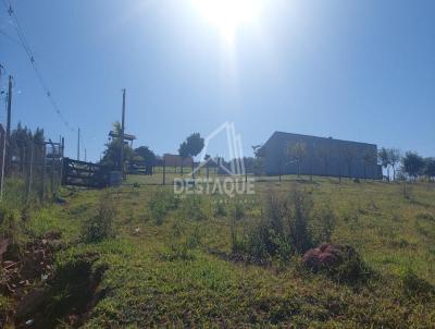 Chcara para Venda, em Anhumas, bairro Palmitalzinho