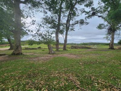 rea Rural para Venda, em Camaqu, bairro .