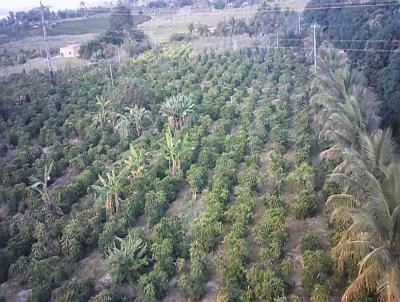 rea Rural para Venda, em Boa Esperana, bairro Zona Rural