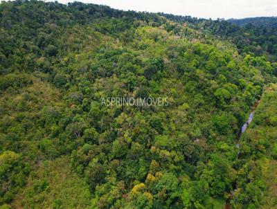 Terreno para Venda, em Uruuca, bairro guas Claras