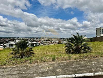 Terreno para Venda, em Pinhais, bairro Jardim Amlia