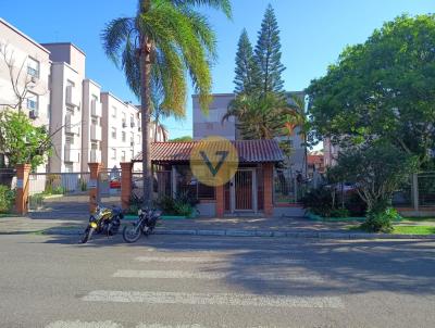 imagem-miniatura