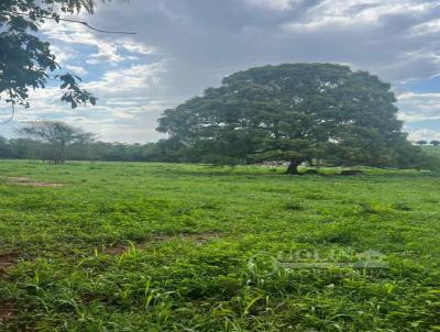 Stio para Venda, em Tangar da Serra, bairro ZONA RURAL