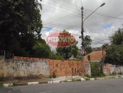 Terreno Comercial para Locao, em Ferraz de Vasconcelos, bairro Vila Andeyara