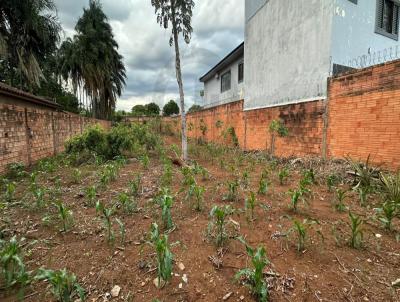 Terreno para Venda, em Jata, bairro Setor Granjeiro