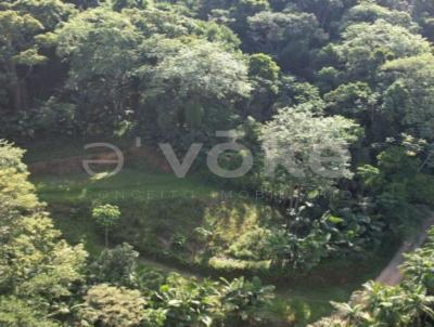 Terreno para Venda, em Pomerode, bairro Testo Rega