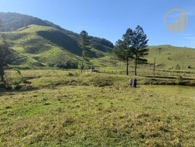 Terreno para Venda, em Rio dos Cedros, bairro Cedro Alto