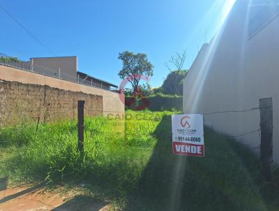 Terreno para Venda, em Barretos, bairro Derby Clube