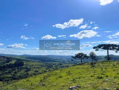 Fazenda para Venda, em Urubici, bairro Criolas