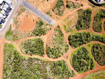 Terreno para Venda, em Fraiburgo, bairro Portal