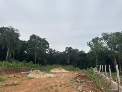 Terreno para Venda, em Dois Irmos, bairro Moinho Velho