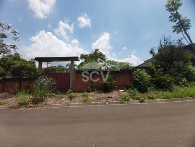 Terreno para Venda, em So Pedro, bairro Vila Nova