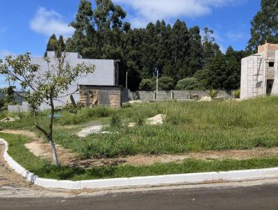 Terreno para Venda, em Guarapuava, bairro Boqueiro