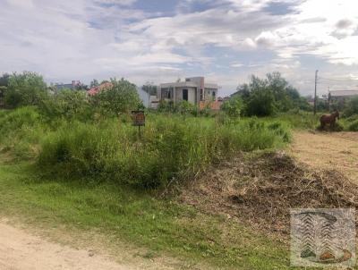 rea para Loteamento para Venda, em Iguape, bairro JARDIM PRIMAVERA