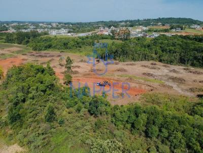 Terreno para Venda, em Vera Cruz, bairro Conventos