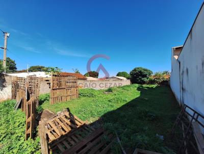 Terreno para Venda, em Barretos, bairro Derby Clube