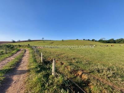 Stio para Venda, em Morungaba, bairro Pedrosos