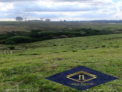 Terreno para Venda, em Franco da Rocha, bairro Vila Palmares