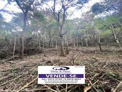 Terreno para Venda, em Socorro, bairro Rubins