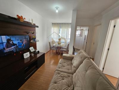 imagem-miniatura