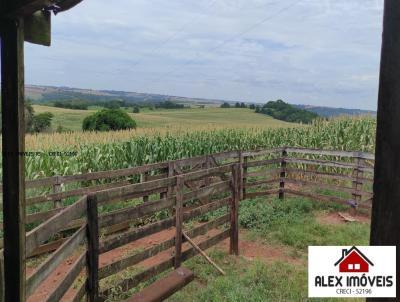 rea Rural para Venda, em Santa Rosa, bairro Interior Santa Rosa