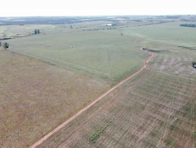 rea Rural para Venda, em So Borja, bairro INTERIOR