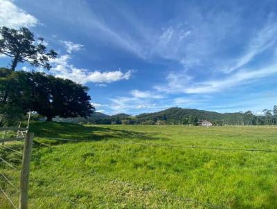 Stio para Venda, em Rodeio, bairro Diamante