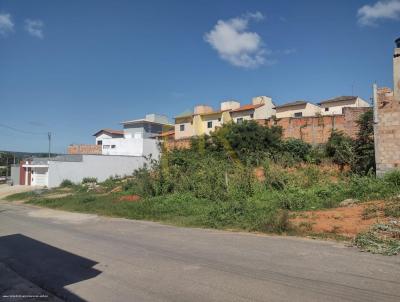 Lote para Venda, em Montes Claros, bairro Floresta
