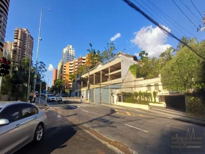 Ponto Comercial para Locao, em So Paulo, bairro Morumbi, 5 banheiros, 12 vagas