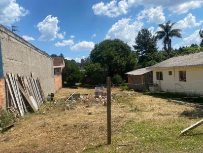 Terreno para Venda, em Campina Grande do Sul, bairro Jardim Nezita