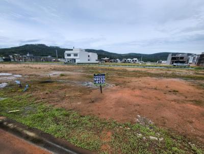 Terreno para Venda, em Biguau, bairro Delta Ville