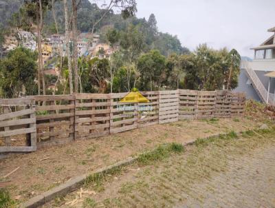 Terreno para Venda, em Terespolis, bairro Panorama