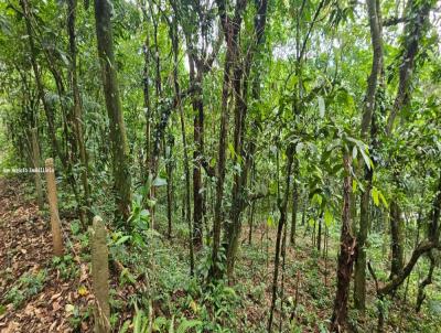 Terreno para Venda, em Guapimirim, bairro Caneca Fina