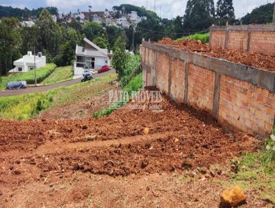 Terreno para Venda, em Pato Branco, bairro Industrial II