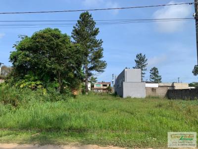 Terreno para Venda, em Perube, bairro Sao Joao Batista