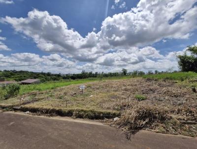 Lote para Venda, em Iara, bairro Cristo Rei