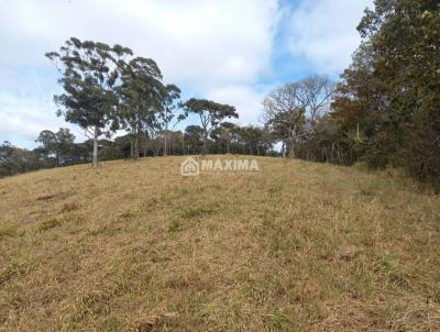 Lote para Venda, em Resende Costa, bairro Trevo