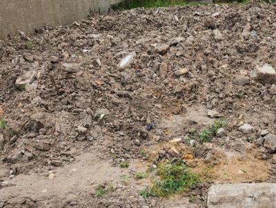 Terreno para Venda, em Camaqu, bairro Viegas